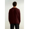 Erkek Regular Kesim Yünlü Bisiklet Yaka Uzun Kollu Bordo Düz Triko Kazak Günlük Kullanım İçin