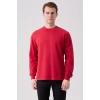 Galanthus Basic Sweatshirt - Uzun Kollu, Pamuklu, Rahat Kesim, Günlük ve İş Kullanımı İçin