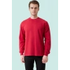 Pamuklu Sweatshirt Kışlık Erkek Süveter Galanthus Basic Rahat Kesim Günlük İş Kullanımı İçin