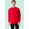Pamuklu Sweatshirt Kışlık Erkek Süveter Galanthus Basic Rahat Kesim Günlük İş Kullanımı İçin