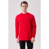 Pamuklu Sweatshirt Kışlık Erkek Süveter Galanthus Basic Rahat Kesim Günlük İş Kullanımı İçin