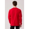 Pamuklu Sweatshirt Kışlık Erkek Süveter Galanthus Basic Rahat Kesim Günlük İş Kullanımı İçin
