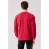 Pamuklu Sweatshirt Kışlık Erkek Süveter Galanthus Basic Rahat Kesim Günlük İş Kullanımı İçin