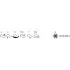 PayBuy Forza Dielectric 43452-09L SB Siyah İş Ayakkabısı Antistatik SRC PU Tabanlı