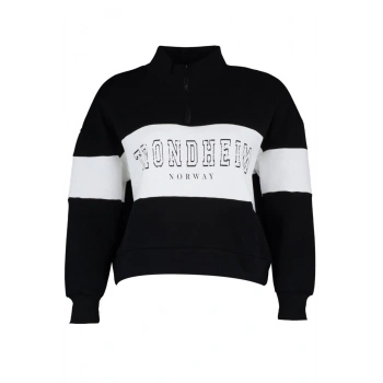 Kadın Büyük Beden Moda Regular Dik Yaka Düşük Kol Regular Fermuarlı Kalın Şardonlu Örme Sweatshirt