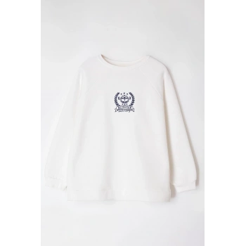 Kadın Büyük Beden Oversize Bisiklet Yaka Reglan Kol Kalın İçi Polarlı Nakış Detaylı Örme Sweatshirt