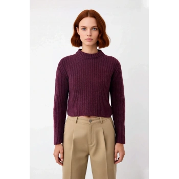 Kadın Regular Fit Crop Fitilli Bisiklet Yaka Uzun Kollu Orta Kalın Triko Kazak Kışlık Kombinlerin