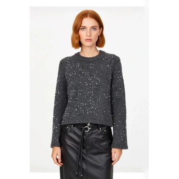 Kadın Regular Kalıp Crop Pul Payetli Bisiklet Yaka Uzun Standart Kol Orta Kalın Triko Kazak