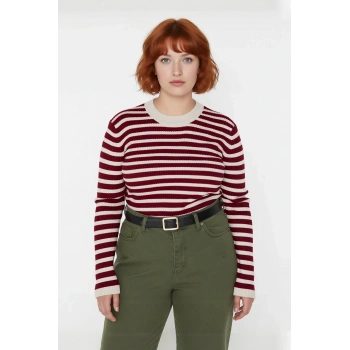 Kadınlar İçin Çizgili Fitted Kalıp Bisiklet Yaka Akrilik Triko Kazak Günlük Şıklık Sunar Kaliteli