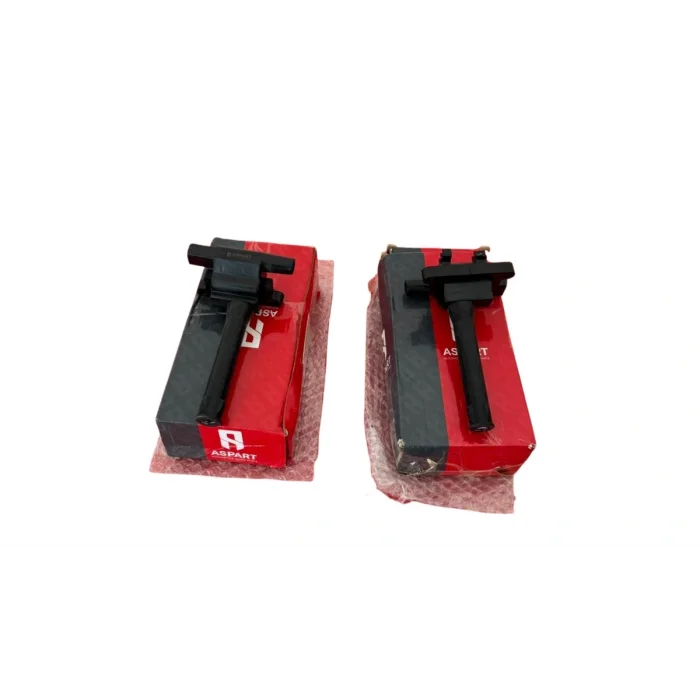 Rover 25-45-75 Bobin 2 Adet Takım