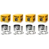 GOETZE 87-72661 STD.1 | Piston Segman Takım Fiat 1.3 Mjet