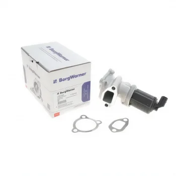 BorgWarner 710773D | Egr Valfi Fiat 1.3 Mjet Euro 4 90 HP Doblo Fiorino Punto