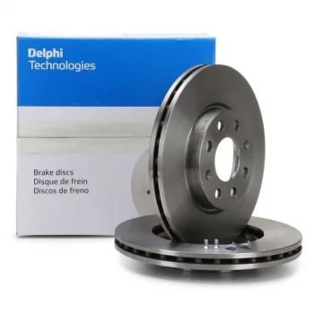 DELPHİ BG4655C Arka Fren Disk Takım Fiat Egea 1.6 Mjet