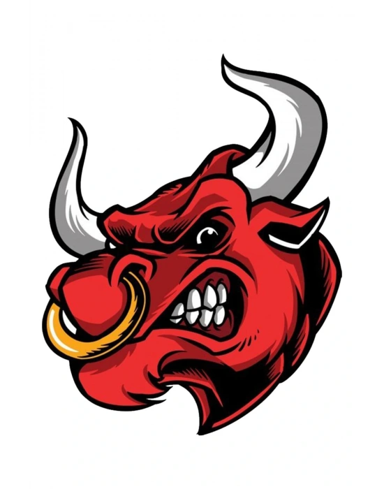 Boğa Araba, Motorsiklet, Kask, Laptop, Cam Sticker 13x11 Cm