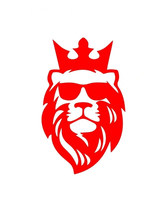 Aslan 13x7 Araba Motorsiklet Kask Laptop Cam Ve Oto Sticker