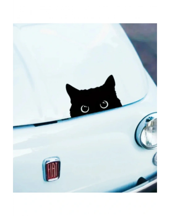 Araç Stiker Bagaj Kedi Model SİYAH RENK