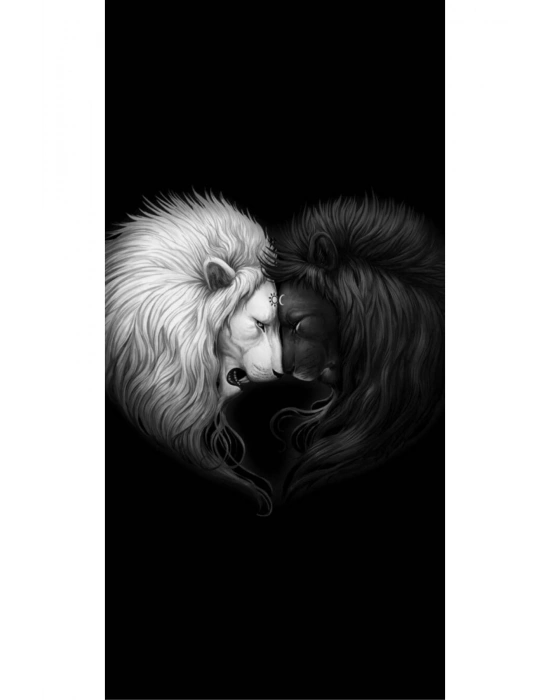 Araba Kapı Direk Kaplama Folyosu Aslan