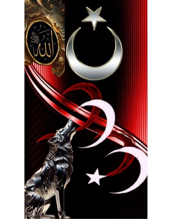 Araba Kapı Direk Kaplama Folyosu türk bayrağı ve kurt