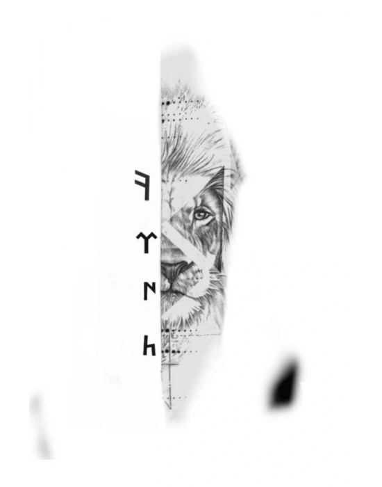 Araba Kapı Direk Kaplama Folyosu aslan