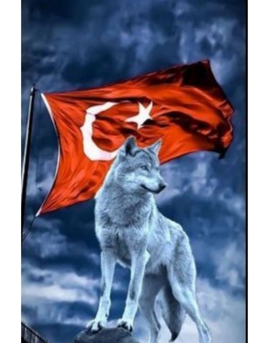 Araba Kapı Direk Kaplama Folyosu kurt cve türk bayrağı