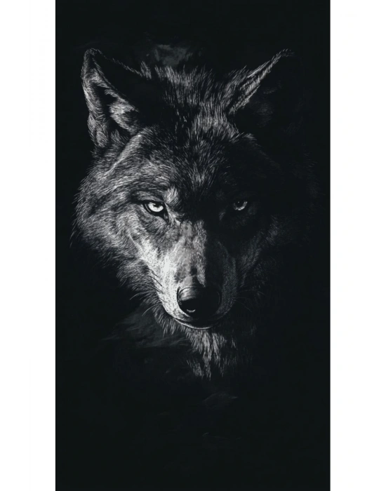 Araba Kapı Direk Kaplama Folyosu kurt