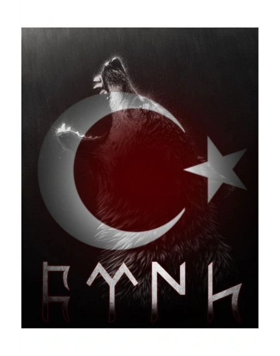 Araba Kapı Direk Kaplama Folyosu kurt