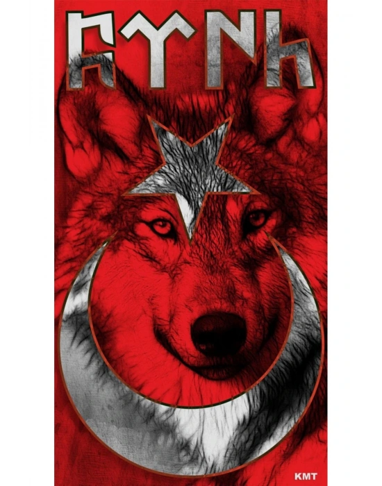 Araba Kapı Direk Kaplama Folyosu kurt ve türk bayrağı