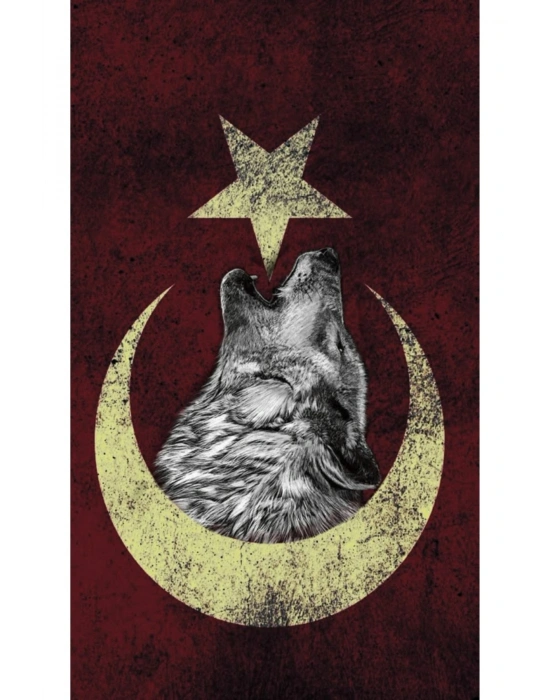 Araba Kapı Direk Kaplama Folyosu kurt