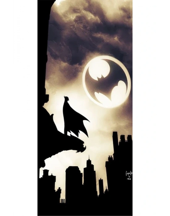 Araba Kapı Direk Kaplama Folyosu Batman