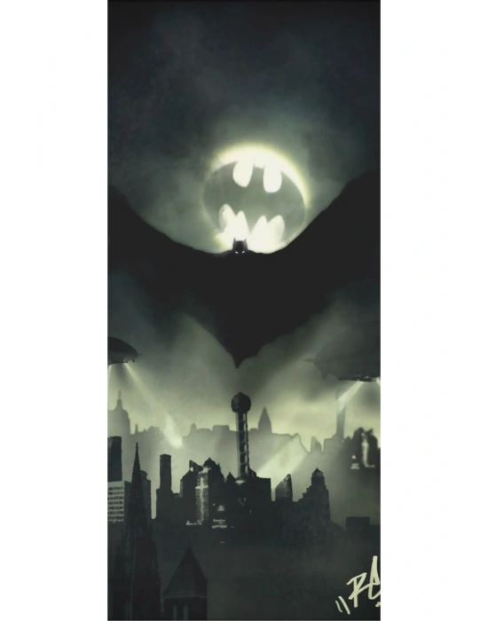 Araba Kapı Direk Kaplama Folyosu Batman