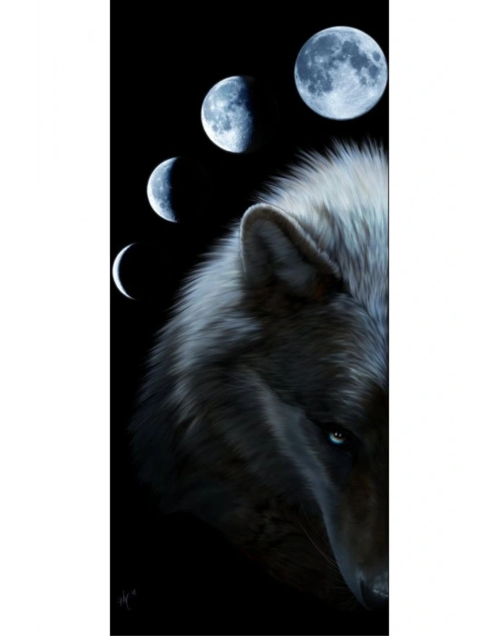 Araba Kapı Direk Kaplama Folyosu Kurt ve Ay Evreleri