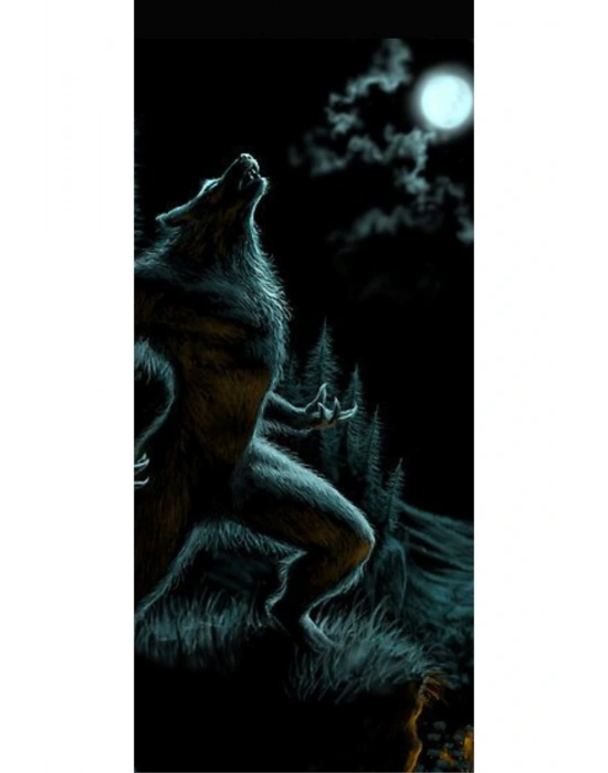 Araba Kapı Direk Kaplama Folyosu Kurt