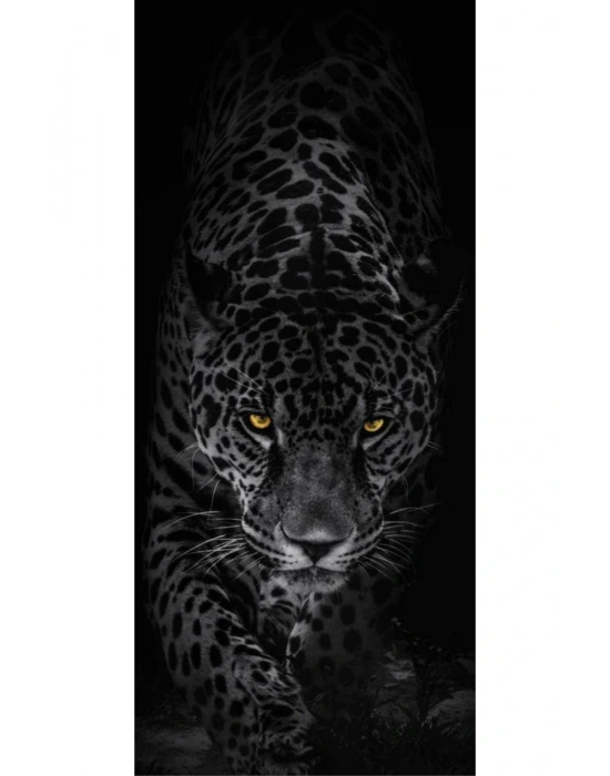 Araba Kapı Direk Kaplama Folyosu Siyah Leopar