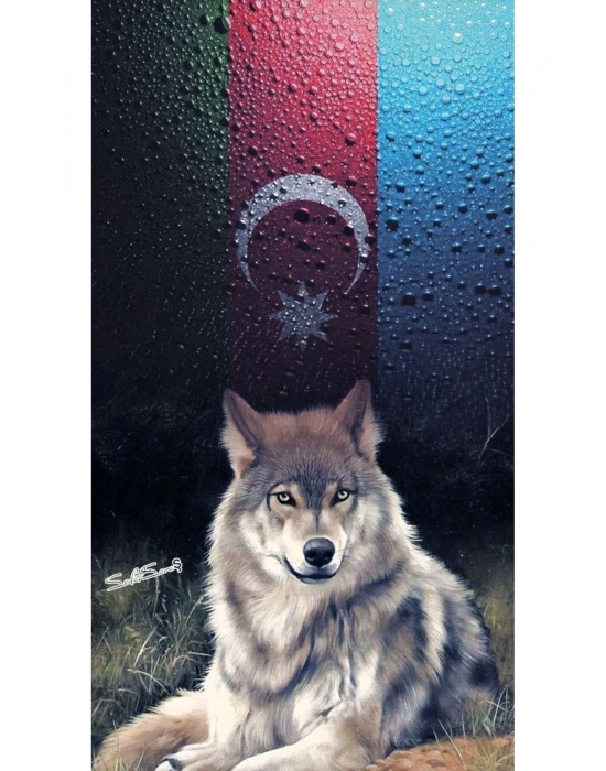 Joker Kapı Direk Kaplama Folyosu BASKILI STİCKER Sağ-Sol 2 Adet 22*50 CM