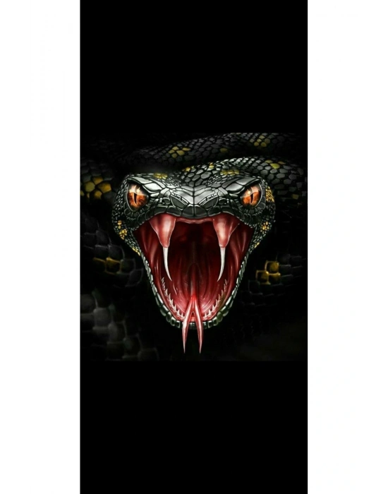 Yılan Kapı Direk Kaplama Folyosu BASKILI STİCKER Sağ-Sol 2 Adet 22*50 CM