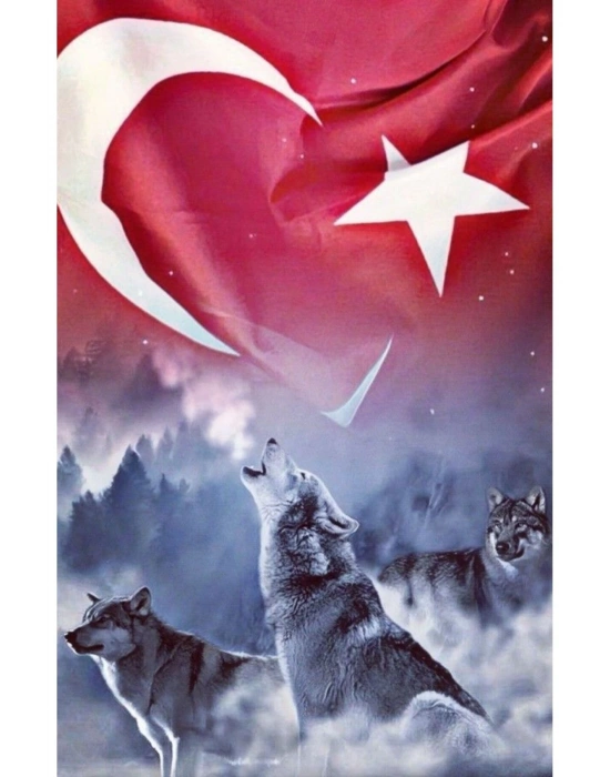 Kurt Kapı Direk Kaplama Folyosu BASKILI STİCKER Sağ-Sol 2 Adet 22*50 CM