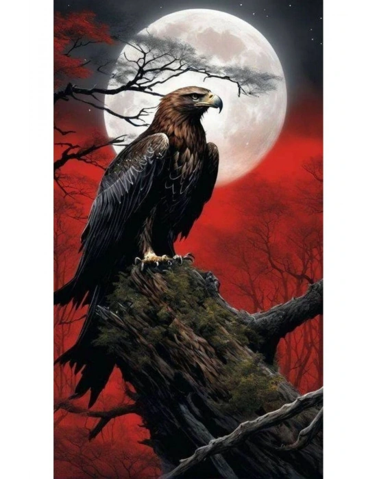 Kartal Kapı Direk Kaplama Folyosu BASKILI STİCKER Sağ-Sol 2 Adet 22*50 CM