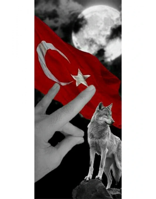 Ülkücü Kurt Kapı Direk Kaplama Folyosu BASKILI STİCKER Sağ-Sol 2 Adet 22*50 CM