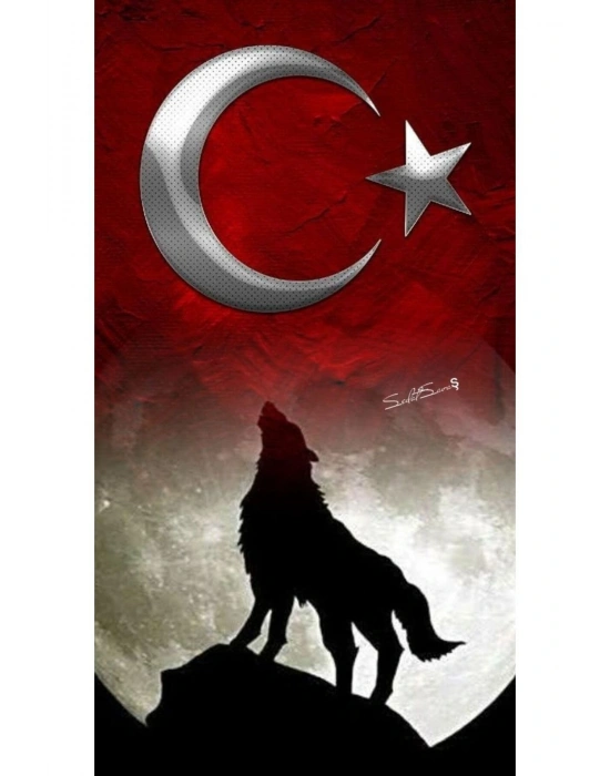 Kurt Kapı Direk Kaplama Folyosu BASKILI STİCKER Sağ-Sol 2 Adet 22*50 CM