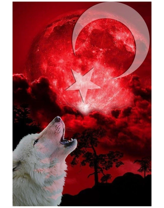 Köpek Balığı Kapı Direk Kaplama Folyosu BASKILI STİCKER Sağ-Sol 2 Adet 22*50 CM