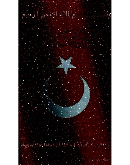 Türk Bayrağı ve Kurt Kapı Direk Kaplama Folyosu BASKILI STİCKER Sağ-Sol 2 Adet 22*50 CM