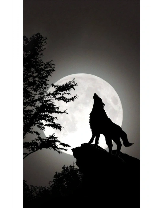 Panter Kapı Direk Kaplama Folyosu BASKILI STİCKER Sağ-Sol 2 Adet 22*50 CM