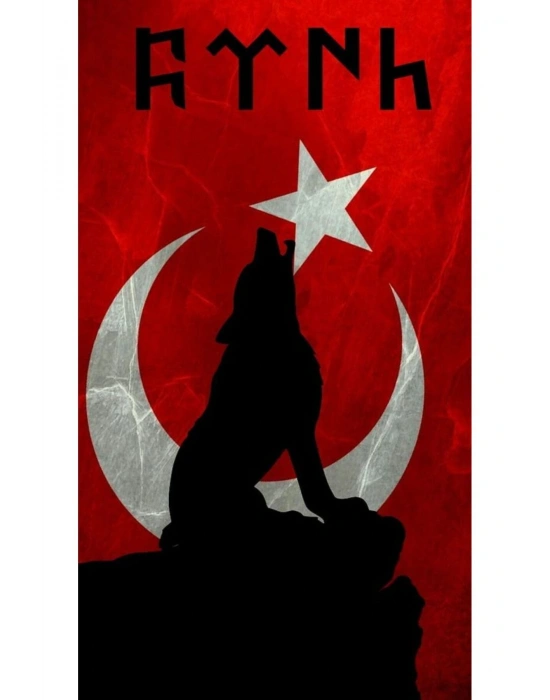 Kurt Kapı Direk Kaplama Folyosu BASKILI STİCKER Sağ-Sol 2 Adet 22*50 CM