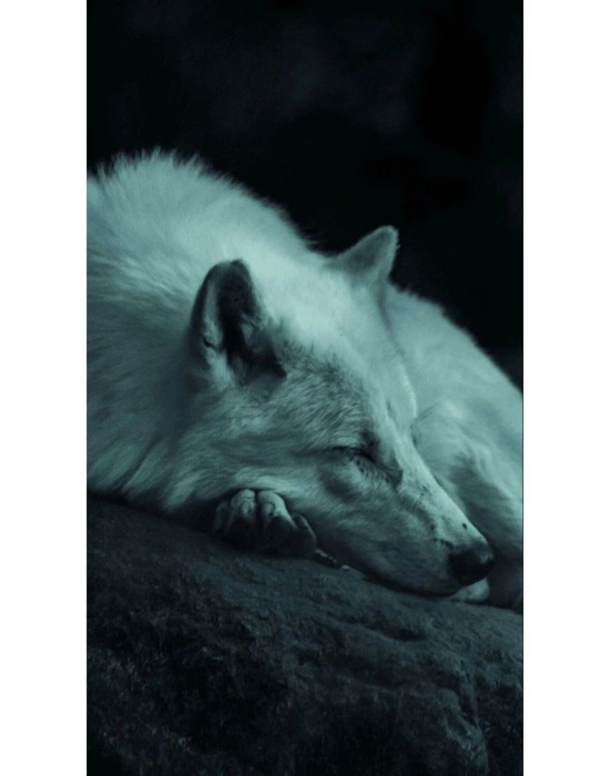 Türk Bayrağı Kapı Direk Kaplama Folyosu BASKILI STİCKER Sağ-Sol 2 Adet 22*50 CM