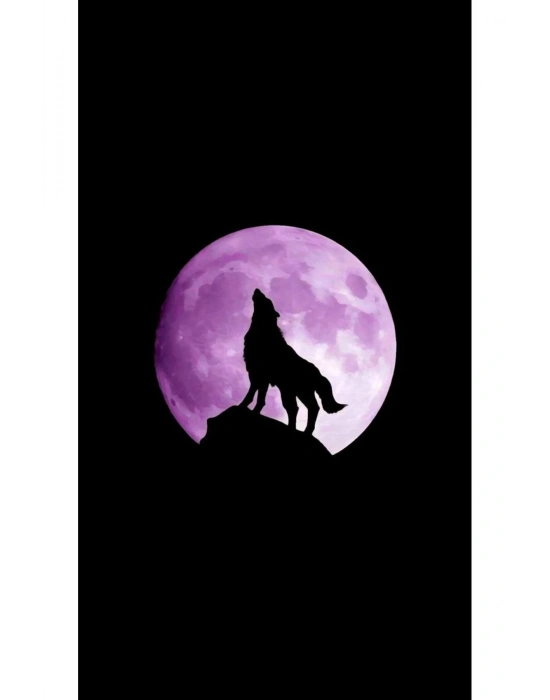 Kurt Kapı Direk Kaplama Folyosu BASKILI STİCKER Sağ-Sol 2 Adet 22*50 CM