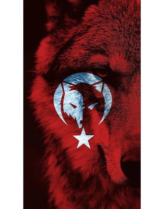 Kurt ve Türk Bayrağı Kapı Direk Kaplama Folyosu BASKILI STİCKER Sağ-Sol 2 Adet 22*50 CM