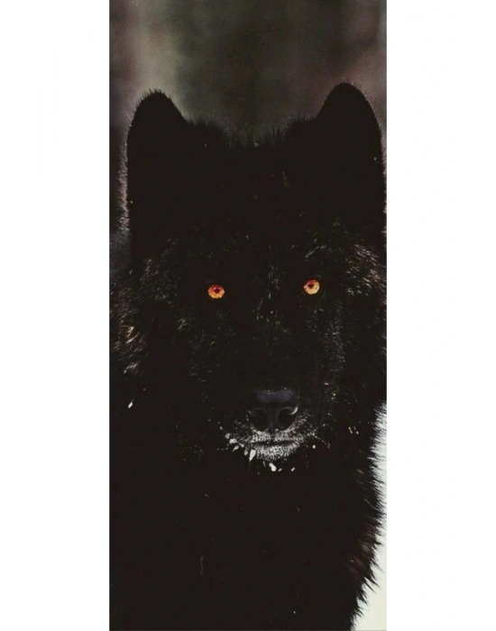 Kurt Kapı Direk Kaplama Folyosu BASKILI STİCKER Sağ-Sol 2 Adet 22*50 CM