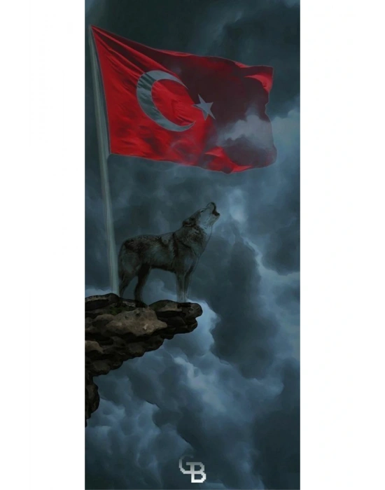 Türk Bayrağı Kapı Direk Kaplama Folyosu BASKILI STİCKER Sağ-Sol 2 Adet 22*50 CM