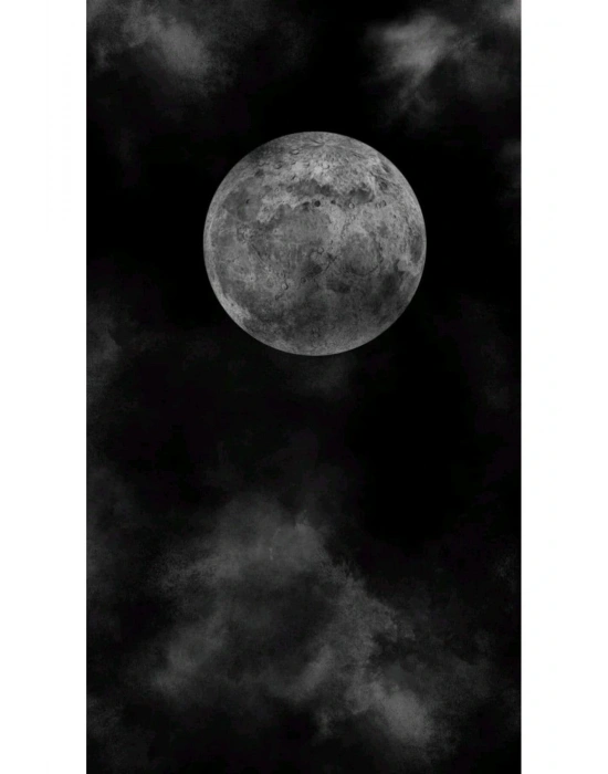 Kurt Kapı Direk Kaplama Folyosu BASKILI STİCKER Sağ-Sol 2 Adet 22*50 CM