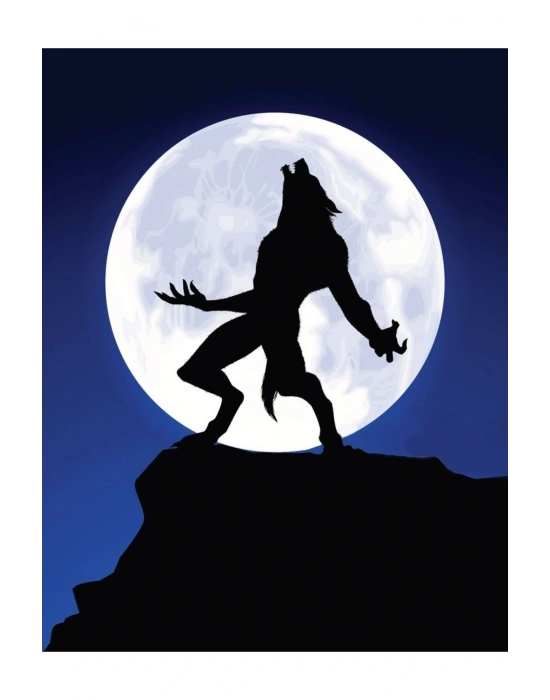 Kurt Adam Kapı Direk Kaplama Folyosu BASKILI STİCKER Sağ-Sol 2 Adet 22*50 CM